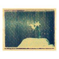 Bodegón (1990_10_25)