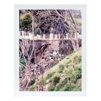 Grazalema_Rio Guadelete (1987_02_28)_02