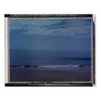 PN Doñana_Acantilado del Asperillo (2017_09_28)_05