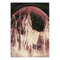 01_Blanca de luna_Transfer_Snowglobe