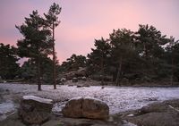 09_Blanca de luna_Peguerinos_Llano de los Pinos