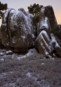 11_Blanca de luna_Peguerinos_Sierra de Guadarrama