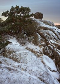 12_Blanca de luna_Peguerinos_Sierra de Guadarrama