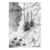 04_Escrito en el Aire_Topografías de Memoria_01