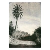 06_Escrito en el Aire_Transfer_01