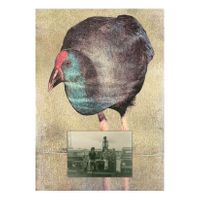 04_Ojos para Argónida_Transfer + F Álbum 02_Capas