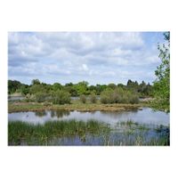 05_Ojos para Argónida_La Rocina_Calamones y moritos_Capas