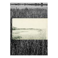 06_Ojos para Argónida_Foto BN + Dibujo Caños_Capas