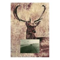 08_Ojos para Argónida_Transfer + F Álbum 03_Capas