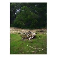 09_Ojos para Argónida_La Plancha 01_Capas