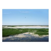 10_Ojos para Argónida_Lucio del Lobo 01_Capas