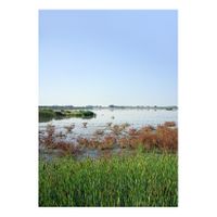 14_Ojos para Argónida_Caño Madre de las Marismas 02_Capas