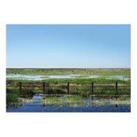 15_Ojos para Argónida_Lucio del Lobo 02_Capa