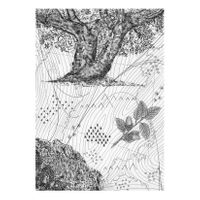 05_Piedras de adopción_Topografías de Memoria_01