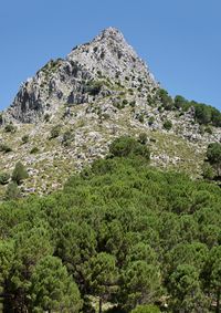 08_Piedras de adopción_Sierra de las Cumbres