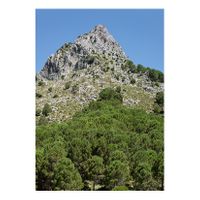 08_Piedras de adopción_Sierra de las Cumbres_Capas