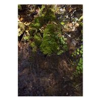 11_Piedras de adopción_Río Guadalete_Capas