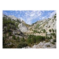 14_Piedras de adopción_Llano del Endrinal_Capas