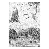 15_Piedras de adopción_Topografías de Memoria_03