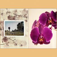 (2018_10_05) Diario de sueños_01-03