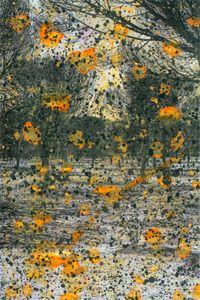 11_Prende fuego_Bosque en llamas