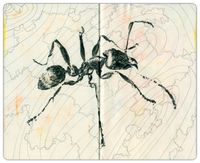 08_Prende fuego_Cuaderno