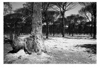 Prende fuego_Poemario_05