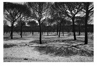 Prende fuego_Poemario_06