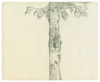 03_(2012_06_19) Plátano de sombra