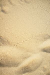 01_(2013_08_31) Doñana_Dunas_Dibuja el viento_DSF8770