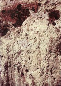 02_(2014_08_30) Grazalema_Piel de roca 02