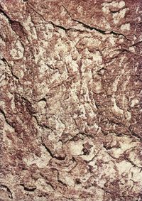 02_(2015_09_09) Piel de roca_02