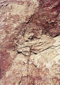 02_(2015_09_09) Piel de roca_03