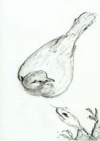 03_(2015_06_09) Carbones