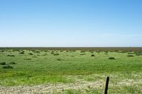 05_(2015_03_30) Doñana_Lucio del Lobo _DSF8022