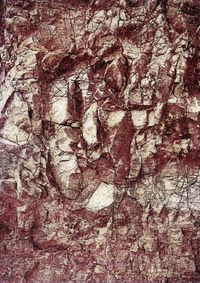 02_(2018_01_18) Piel de roca_03