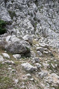 05_(2020_01_18) Grazalema_DSF6962