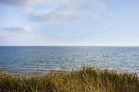 01_(2021_06_15) Acantilado del Asperillo_DSF9500