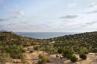 01_(2021_06_15) Acantilado del Asperillo_DSF9510