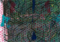 04_(2022_01_17) Noche selvática