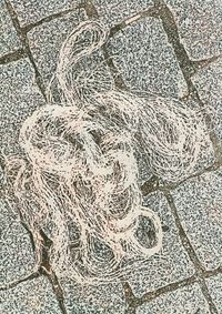 05_(2023_03_21) Sevilla_Patio de la Diputación