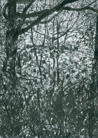 07_(2023_08_24) Bosque_01