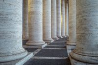 14_(2024_08_09) Cittá del Vaticano_L1022262