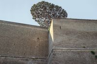 15_(2024_08_14) Cittá del Vaticano_L1030594